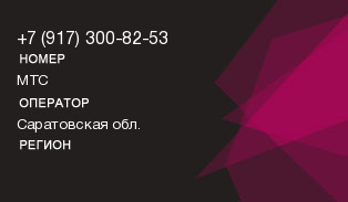 9173008253